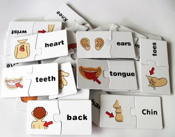 Človeško telo puzzle zgodnje izobraževanje igrača za učenje angleščine črkovanje besede seznanjanje igre